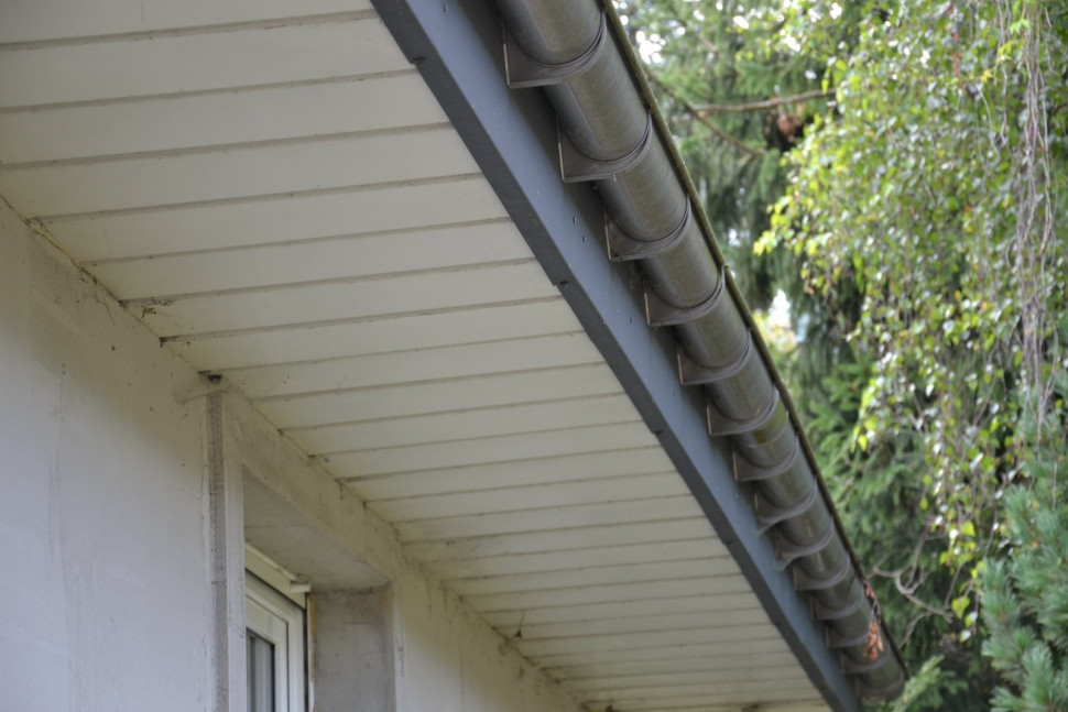 W rynnach nie zamontowano siatek, bo nasiona brzóz zatykały ich oczka