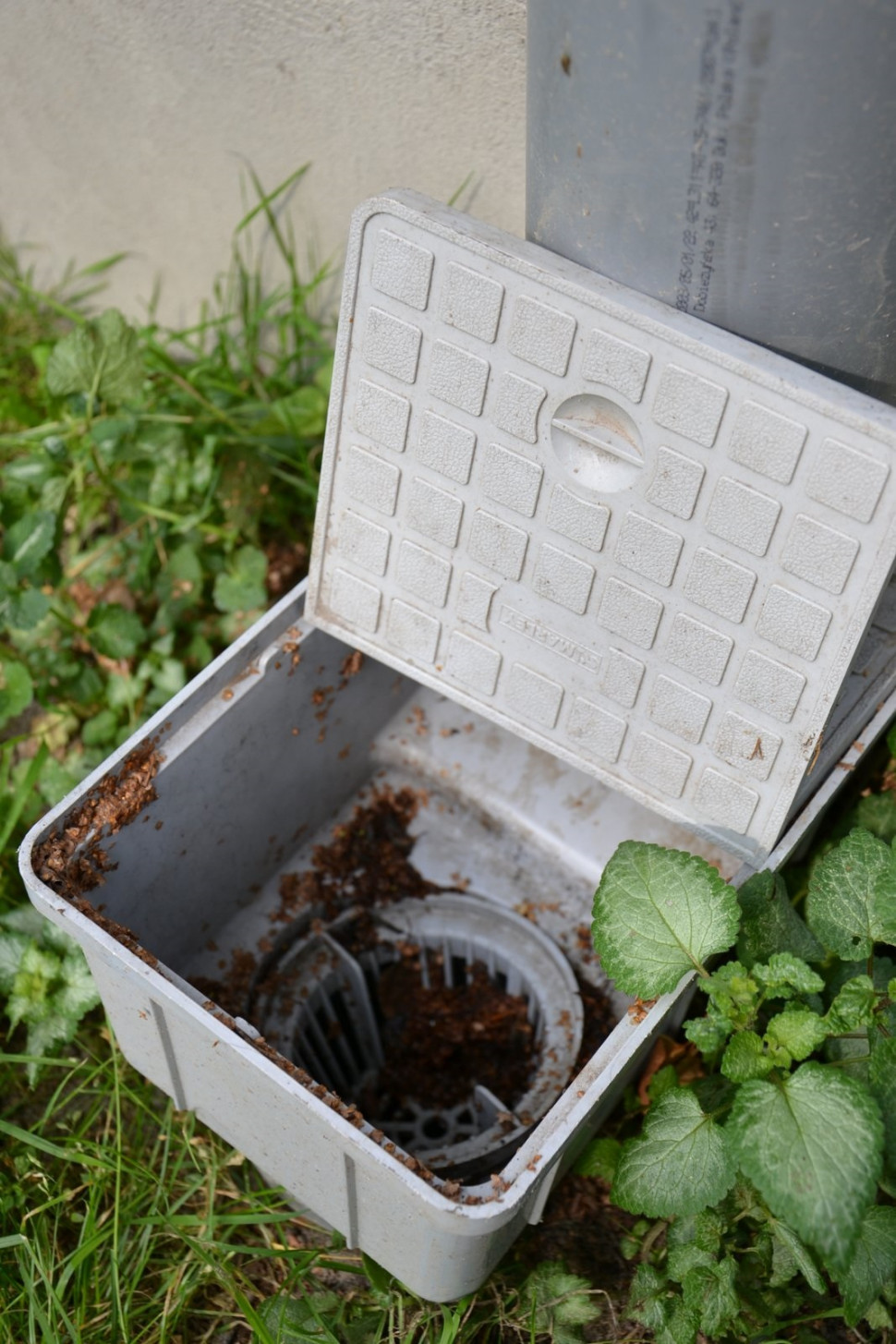 Wpusty odpływowe czyszczone są kilkanaście razy w roku