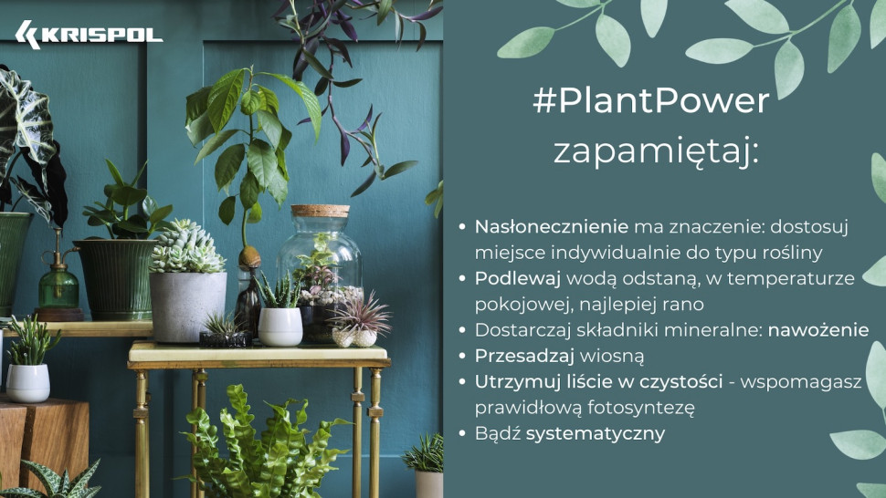 Poczuj #PlantPower