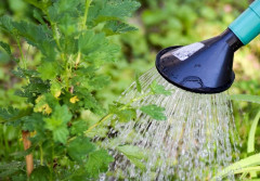 Dodatkowy wodomierz - kiedy stosować?