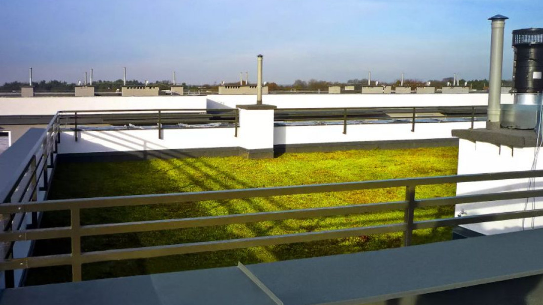 Zielony Dach Icopal - ekologiczny i bezobsługowy