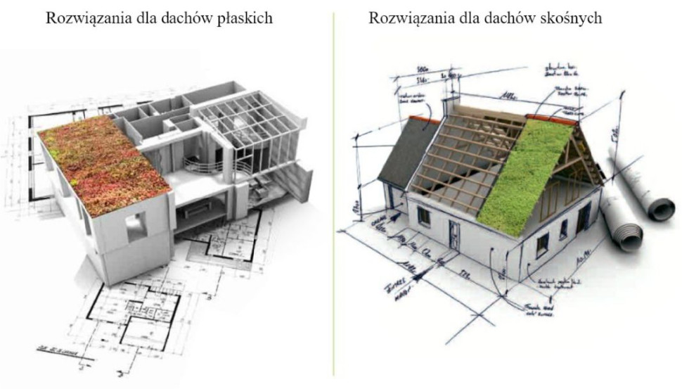 Zielony dach Icopal