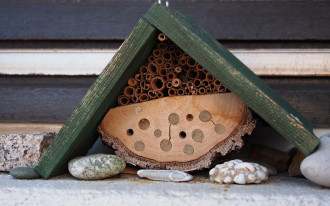 Tworzymy ogród przyjazny pszczołom - odpowiednie rośliny i domki