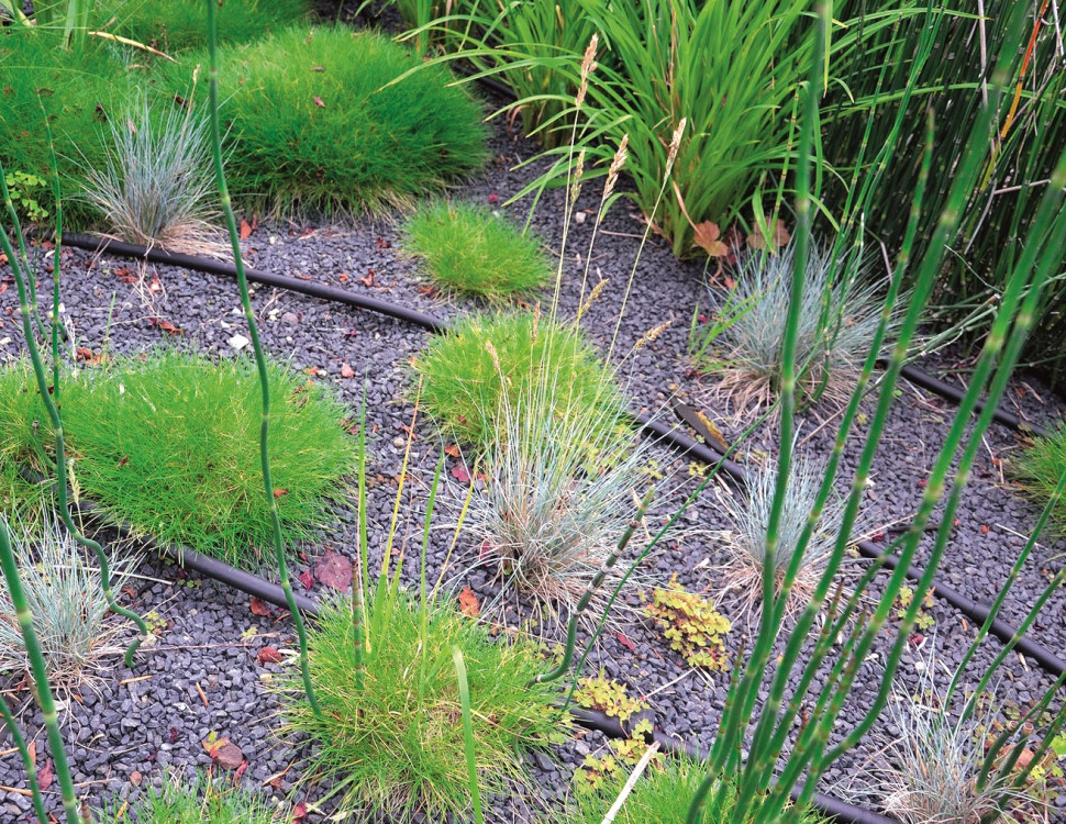 Linie kroplujące ułożone na rabacie