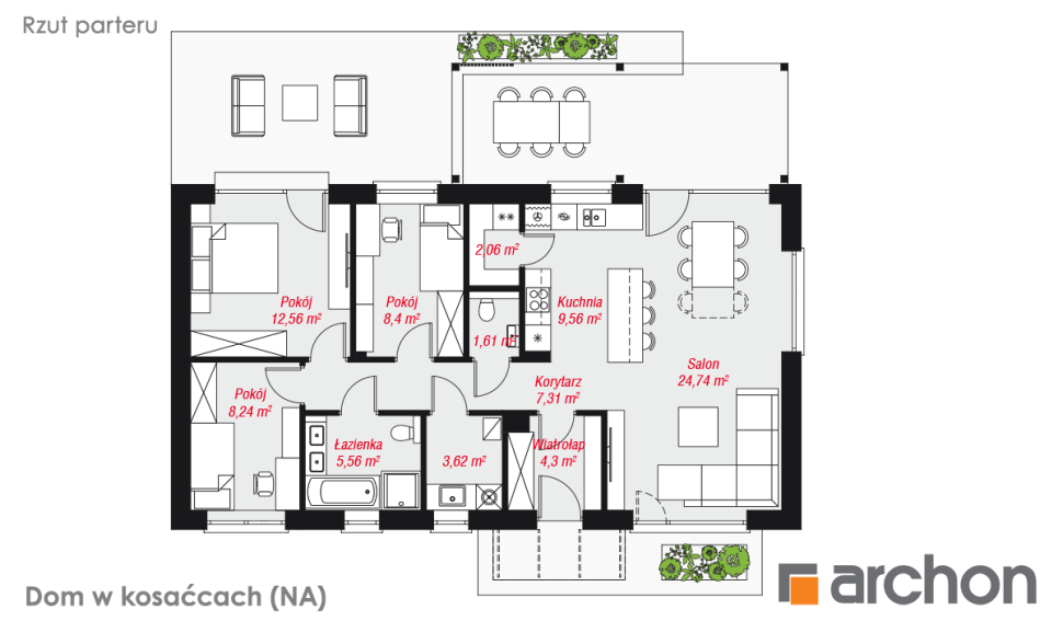 Dom w kosaćcach (NA)