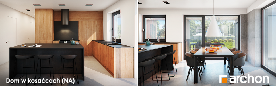 Dom w kosaćcach (NA)