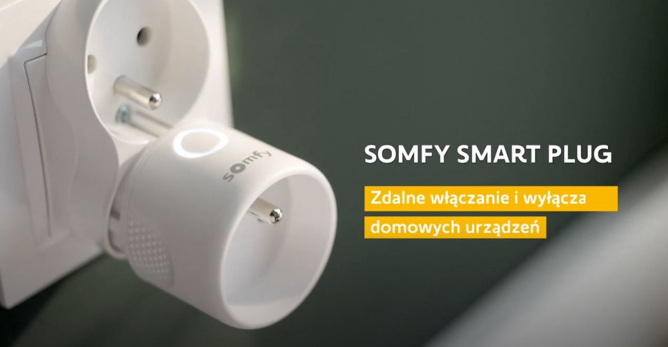 Zdalnie sterowane gniazdko Somfy Smart Plug