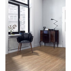 Kolekcja: Extreme 4V WR