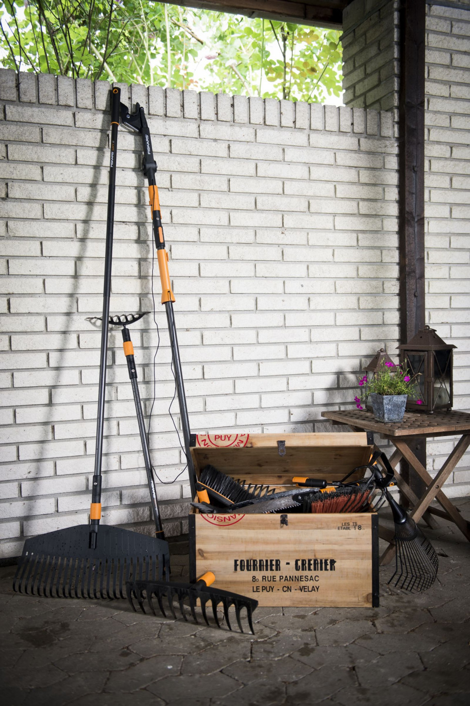 Grabie z krótkimi zębami