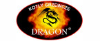 KOTŁY GRZEWCZE DRAGON