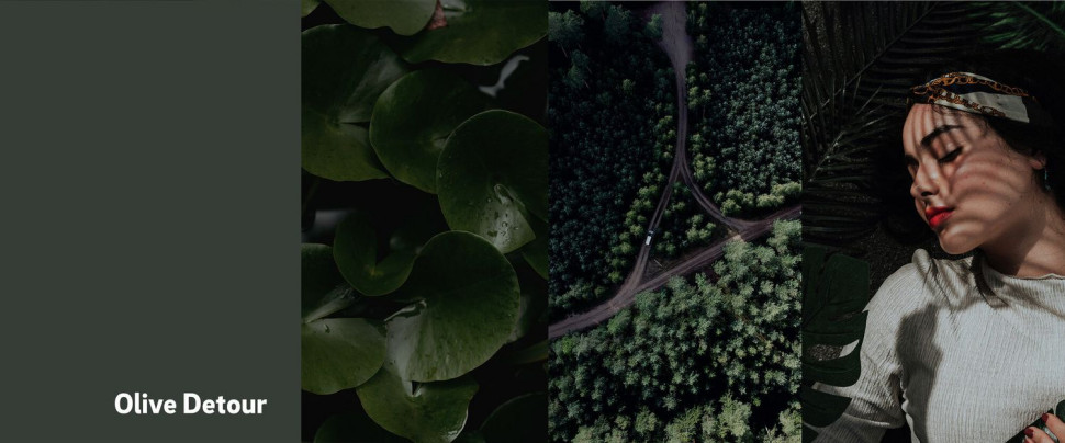 Matowy front mebli - Olive Detour