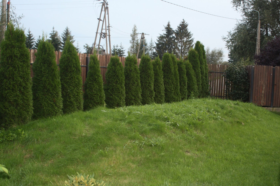 Biologiczna oczyszczalnia ścieków - kopiec