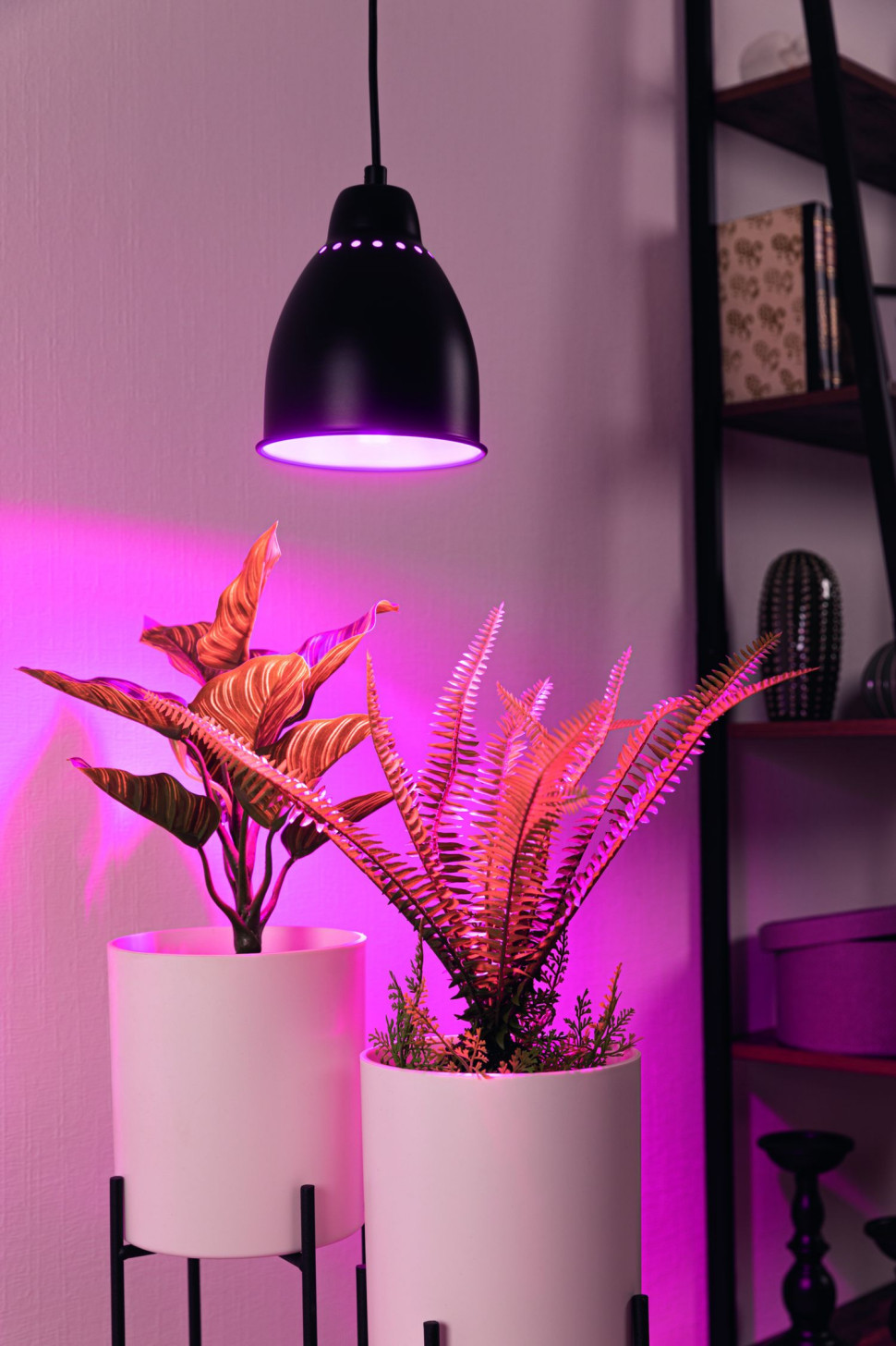 Lampa wisząca Neordic Hilla