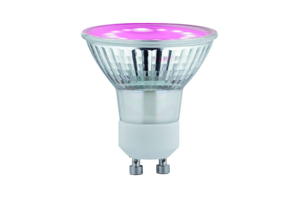 Źródło LED Plant R80 E27 6,5W 230V prowzrostowa