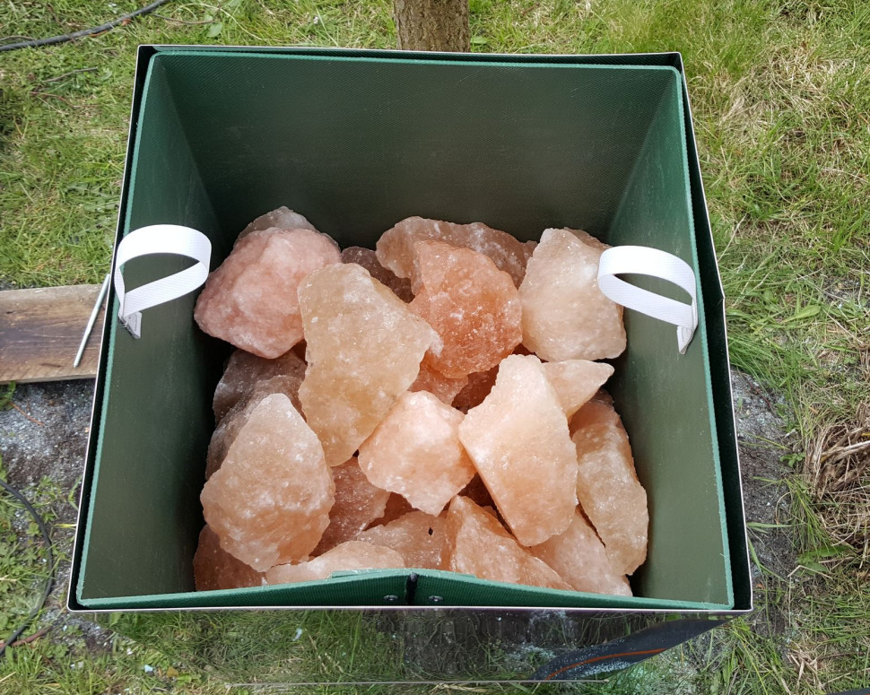 Zubry solne w SMOGSORBERZE oczyszczają powietrze i wzbogacają je w biopierwiastki. fot. Global-Tech