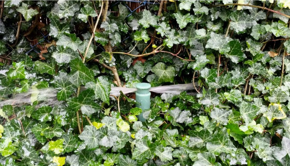 Zraszacz liniowy GREEN SHOWER