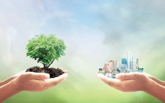 70 tysięcy drzew na 70 lat Grupy Kęty