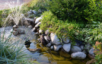 Pompy wodne do ogrodu - kilka porad przed wizytą w sklepie