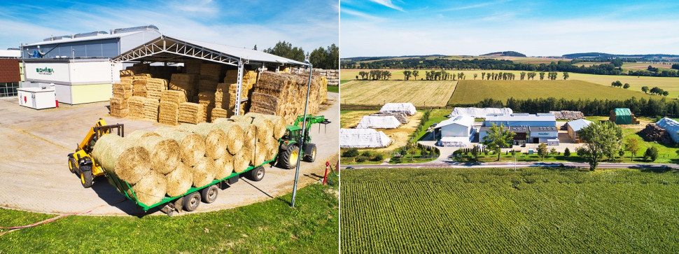 Jak pozyskiwany jest surowiec do produkcji pelletu ściółkowego? fot. Biomasa Partner Group