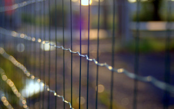 Ogrodzenia panelowe - jakie wyróżniamy rodzaje i jaki jest ich koszt?