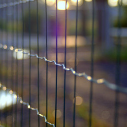 Ogrodzenia panelowe - jakie wyróżniamy rodzaje i jaki jest ich koszt?