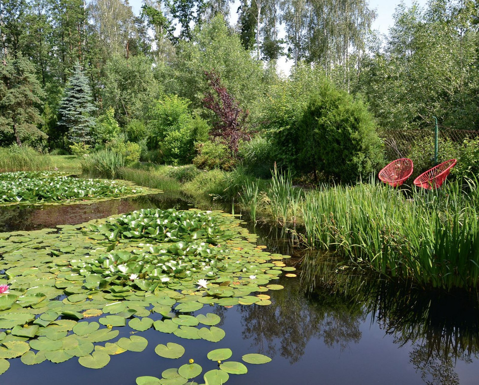 Centrum ogrodu zajmuje duży zbiornik, ukwiecony m.in. spektakularnymi grzybieniami