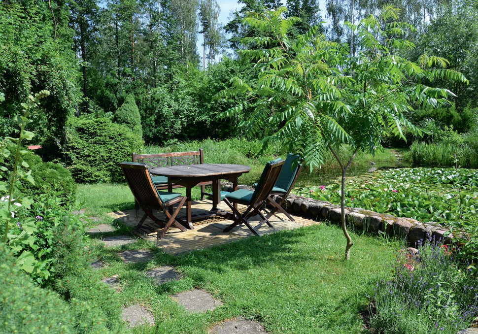 Z nasłonecznionego tarasu, położonego przy letnim domku, roztacza się najpiękniejszy widok na akwen i bujne rośliny wodne