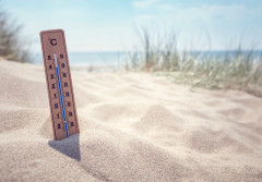 Naturalna klimatyzacja, czyli jak obniżyć temperaturę wnętrz latem?