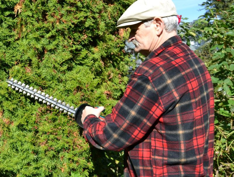 Elektryczne nożyce z ostrzem o dł. 42 cm świetnie tną żywopłot z żywotników