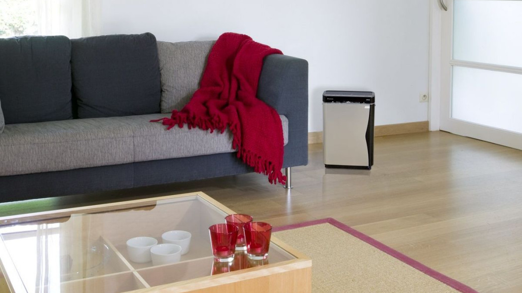 4 sposoby na poprawę powietrza w domu