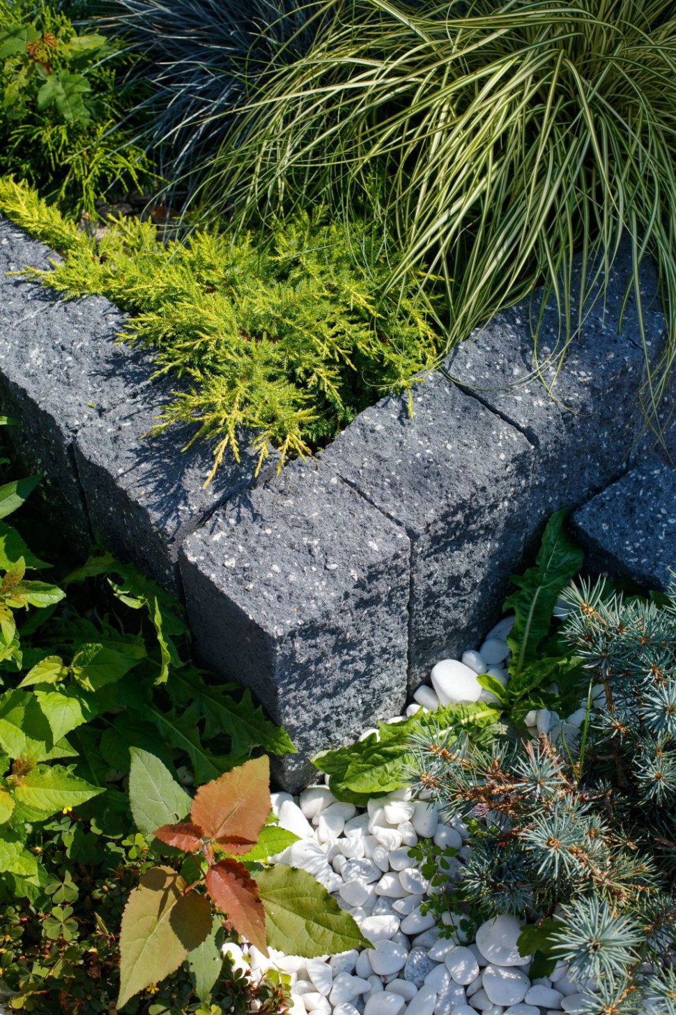 Palisada Łamana z oferty Polbruk