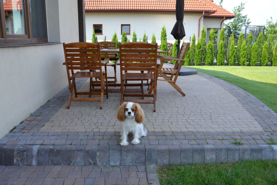 Na północnym krańcu taras zarasta mchem