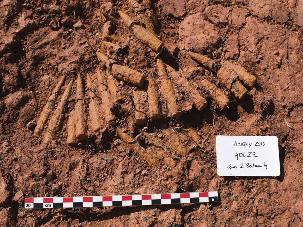 Prace archeologiczne w kopalni gliny w Amign, Francja