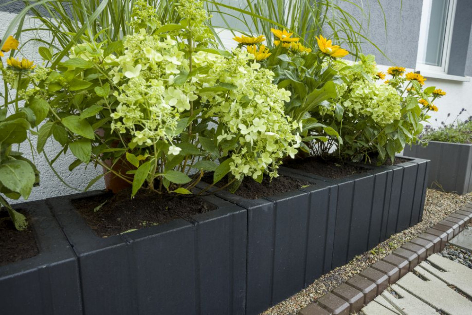 Donica Tigela w domowym ogrodzie