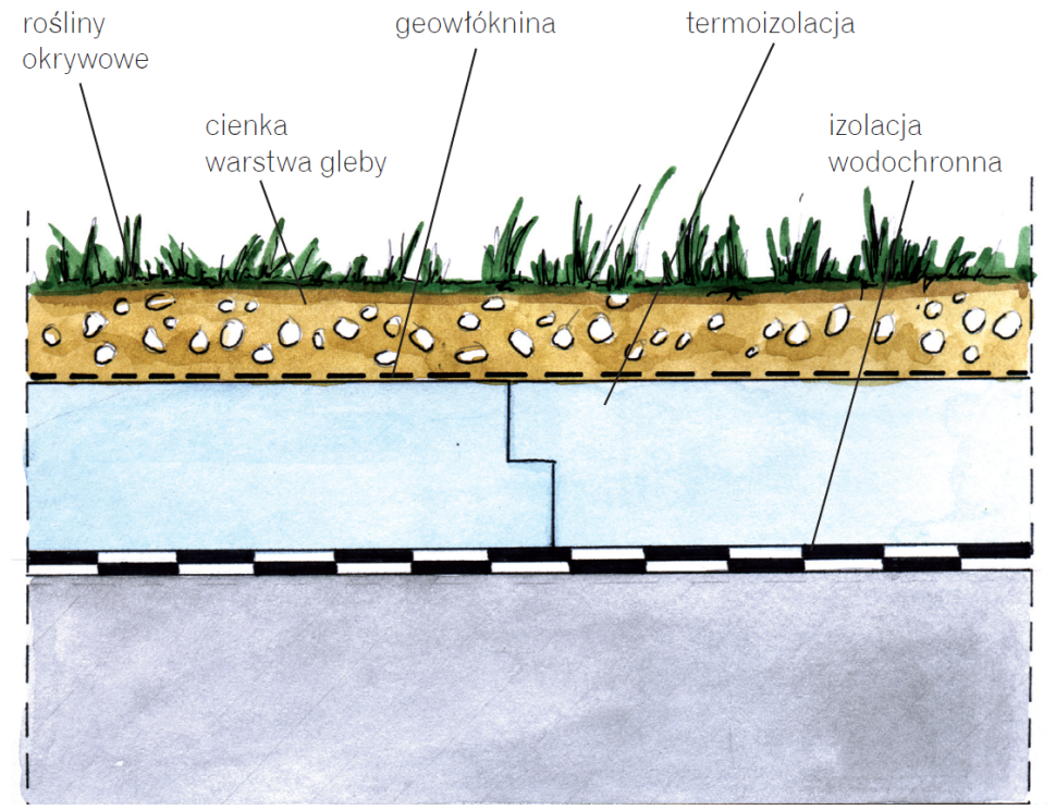 Taras na dachu płaskim garażu: wariant z roślinnością ekstensywną (okrywową) - schemat wykonania