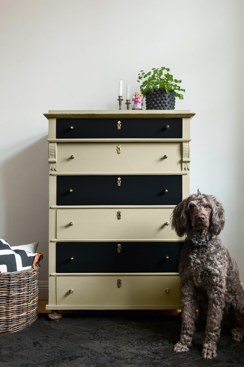 Beckers Designer Universal. Kolory Black&Panna Cotta