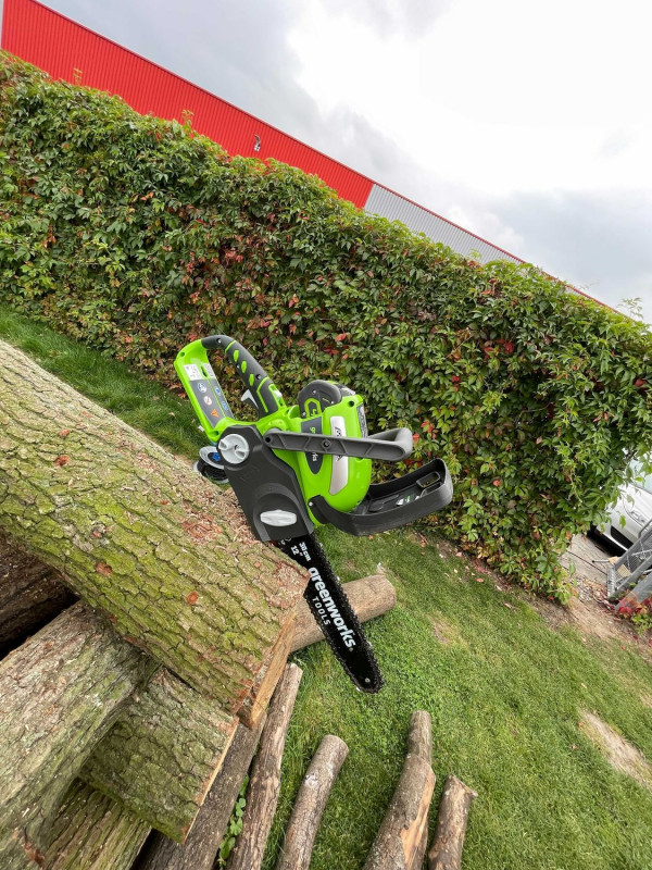 40V Pilarka 30 cm Premium Greenworks