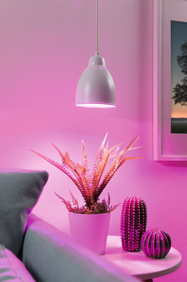 Lampa wisząca Neordic Hilla