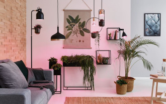 Jak prawidłowo doświetlić rośliny w ciemnym wnętrzu? 