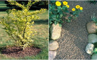 Co to jest keramzyt ogrodniczy i gdzie go stosować?