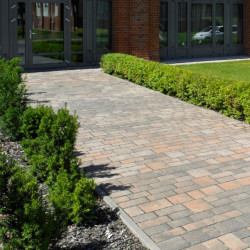 Kostka brukowa BRUK POZNAŃSKI