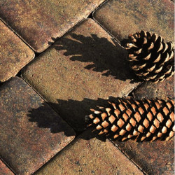 Kostka brukowa NOSTALIT 6