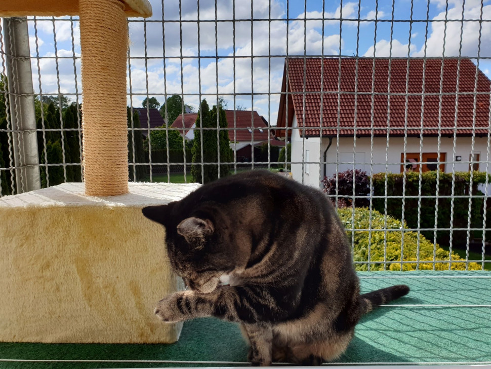 Siatka na balkon