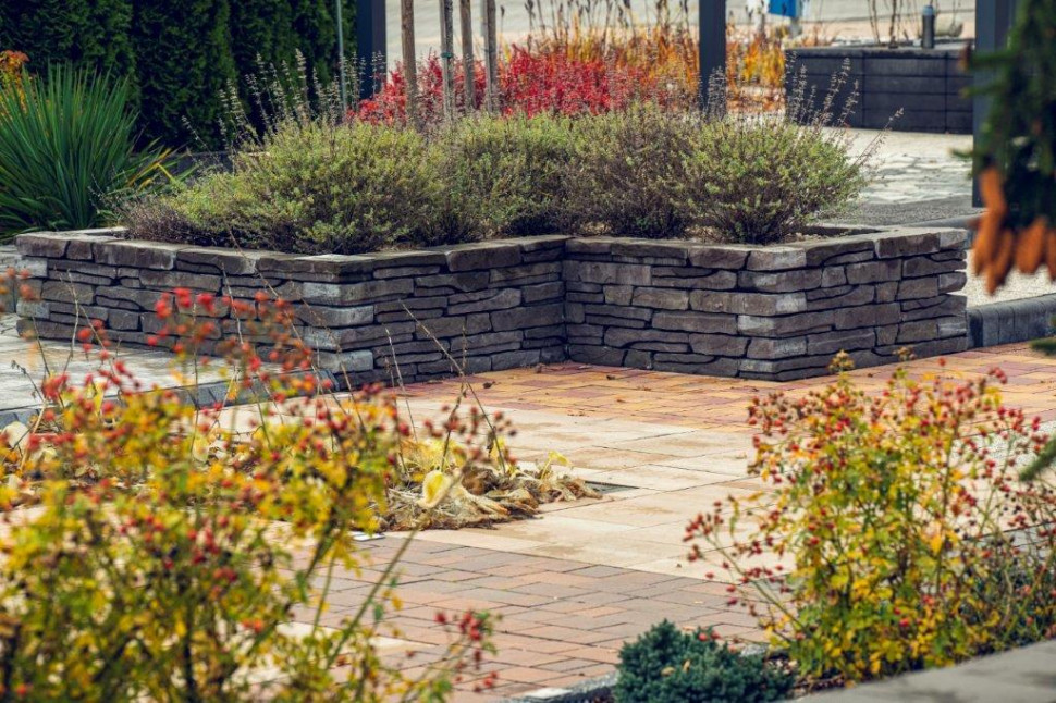 Murek Albero z oferty Polbruk