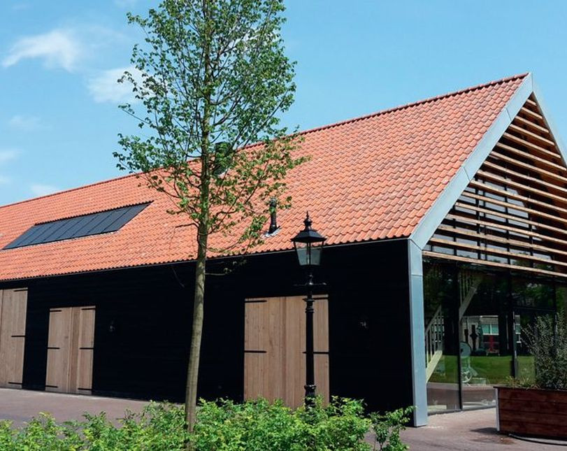 Dachówka KORAMIC ESÓWKA SINUS