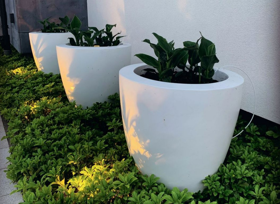 Rząd białych donic (z tworzywa fiberglass)