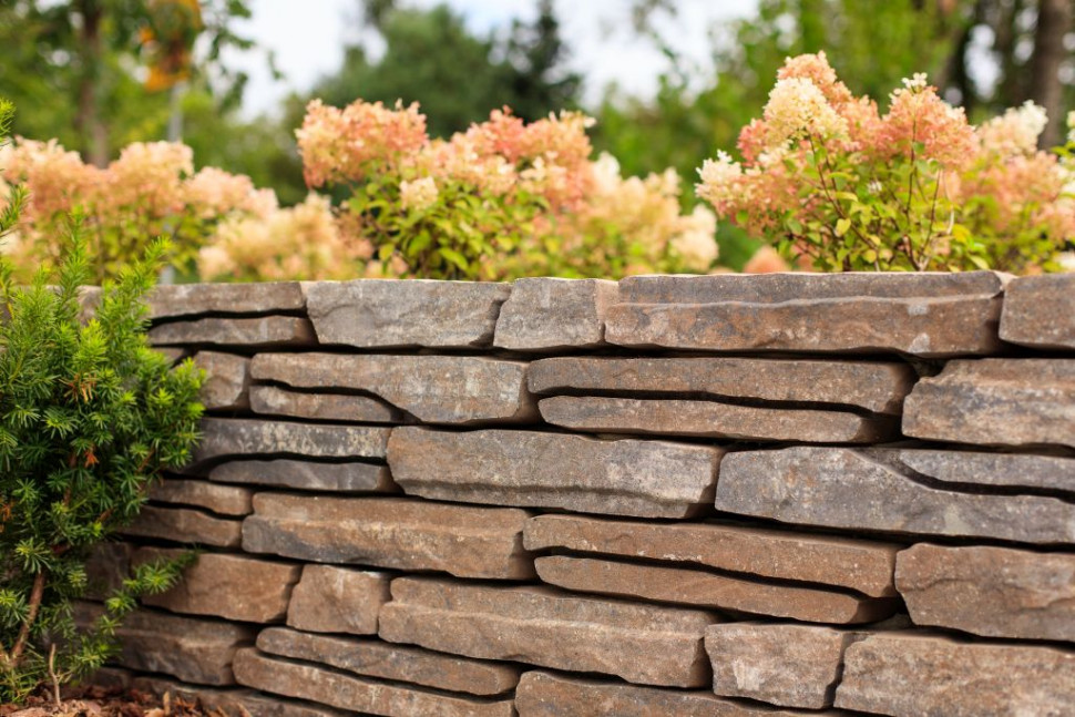 Murek ogrodowy Albero