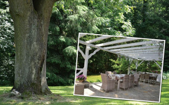 Ogród otulony starodrzewem - pielęgnacja i koszty