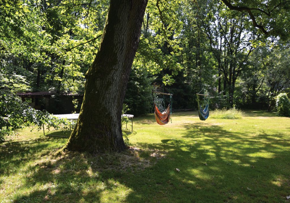 Na konarze jednego z dębów zawiesili hamaki brazylijskie