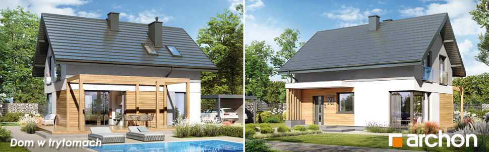 Dom w trytomach - wizualizacja